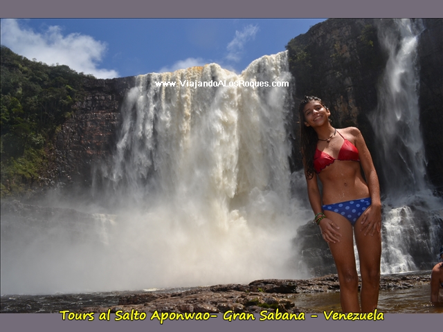 Salto Aponwao La Gran Sabana